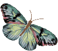 https://www.ouverturedelaconscience.com/index_fichiers/image057.gif